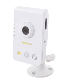 IP-cam 5M IR WLAN H.264 4mm DI/DO MicroSD 3G-support IP-sis